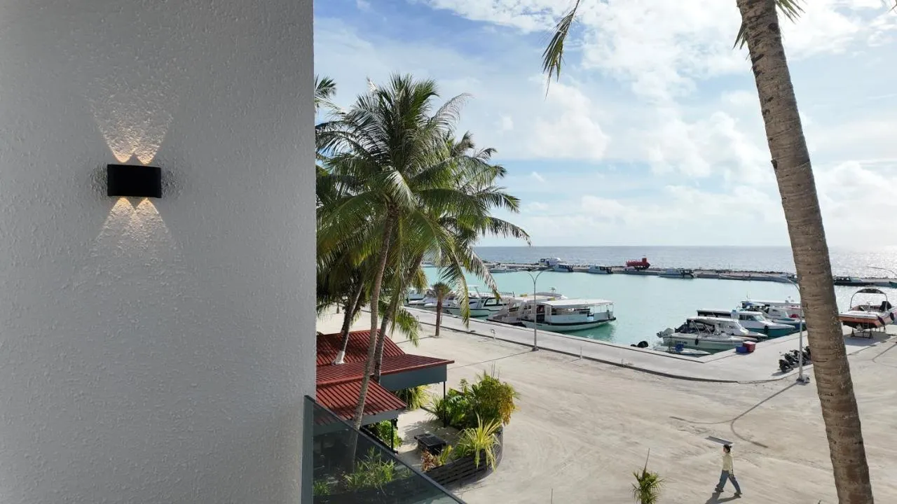 Palm trees and speedboats in Maafushi harbour, seen from a Palmcasa balcony